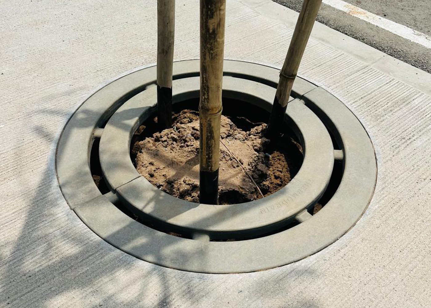 Tree thermodrain-tree-gratings